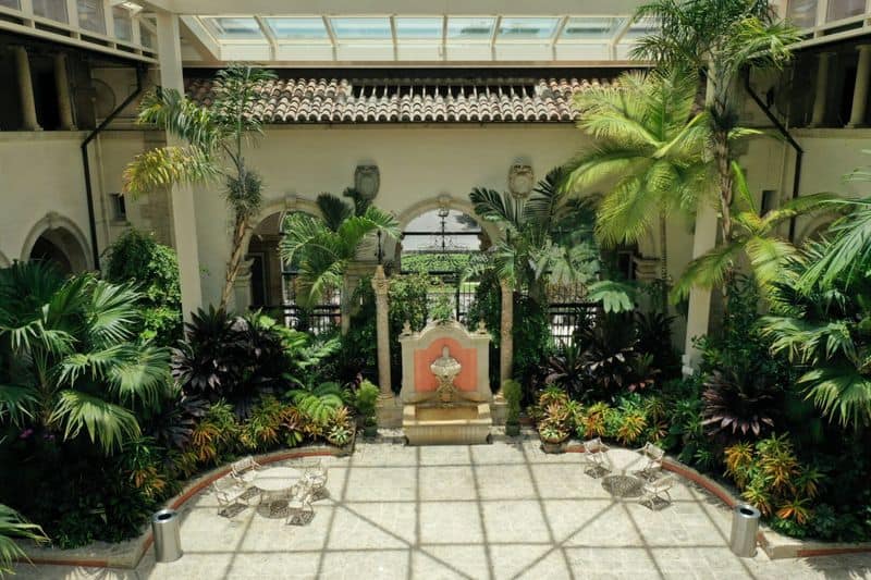 Tropical Paradise