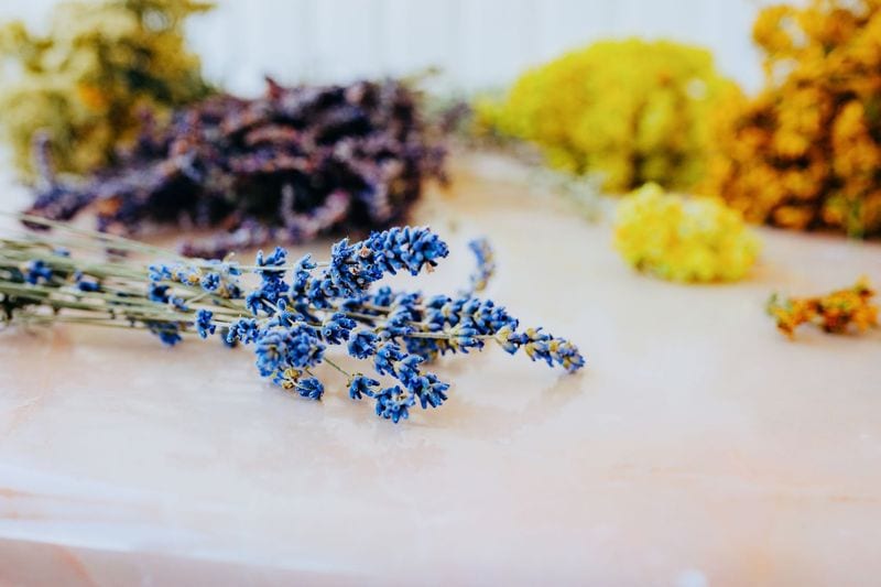 Herb Infusion