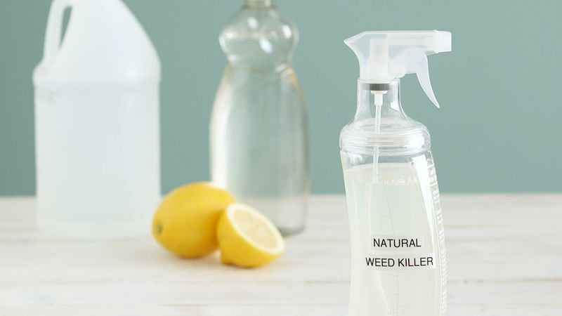Vinegar for Weed Control