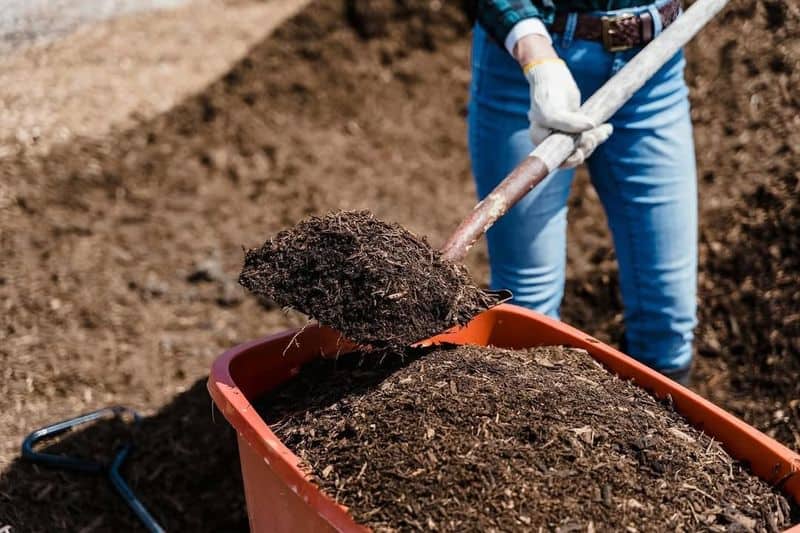 Mulching