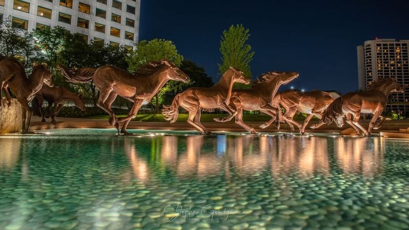 Mustangs, Las Colinas, Texas