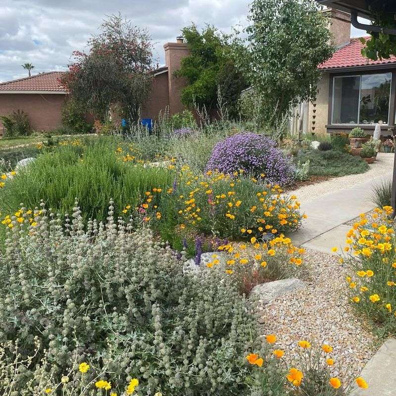 Native Plant Landscaping