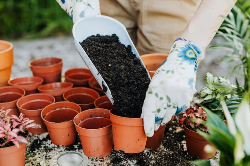 Natural Fertilizer