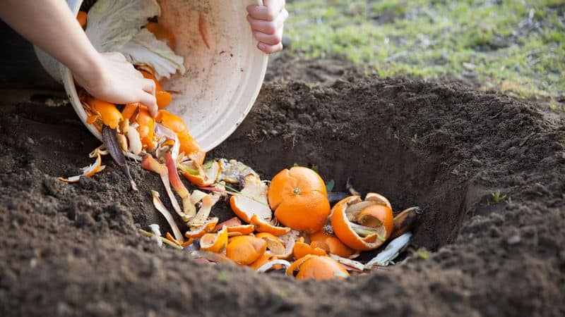 Compost Booster