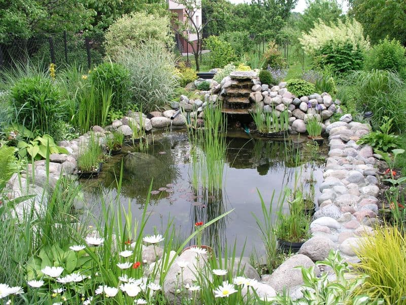 Create a Micro-Habitat
