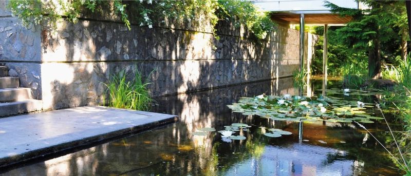 Naturally Fed Pond