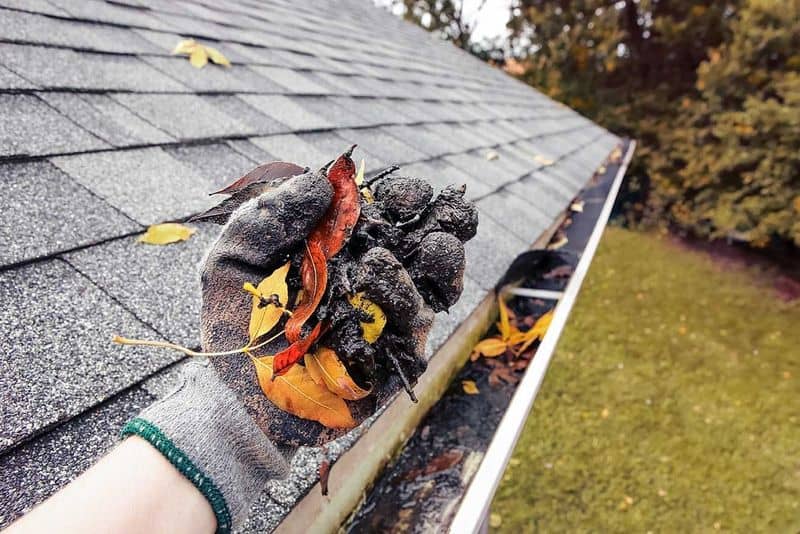 Neglecting Gutter Cleaning