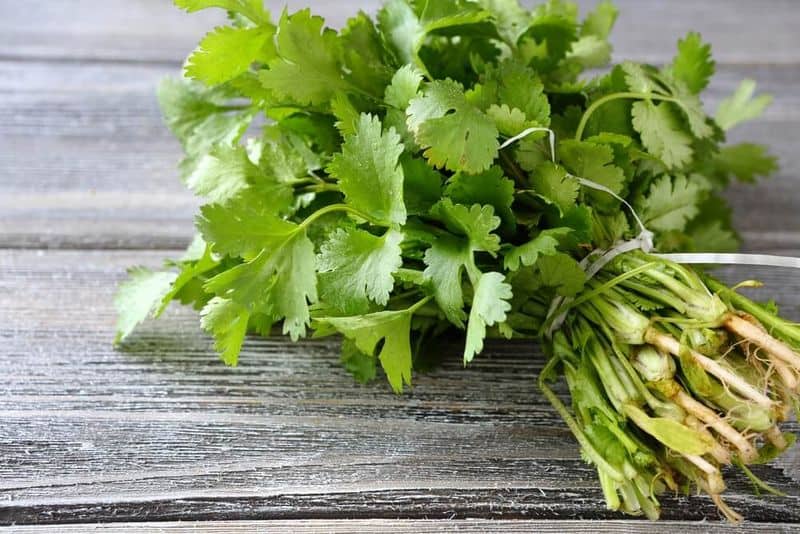 Nutrient Powerhouse