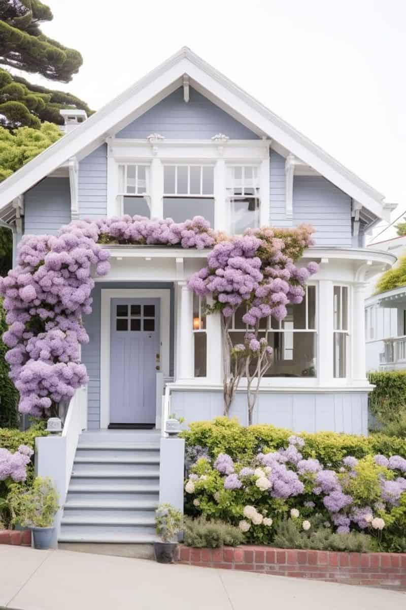 Gentle Lavender