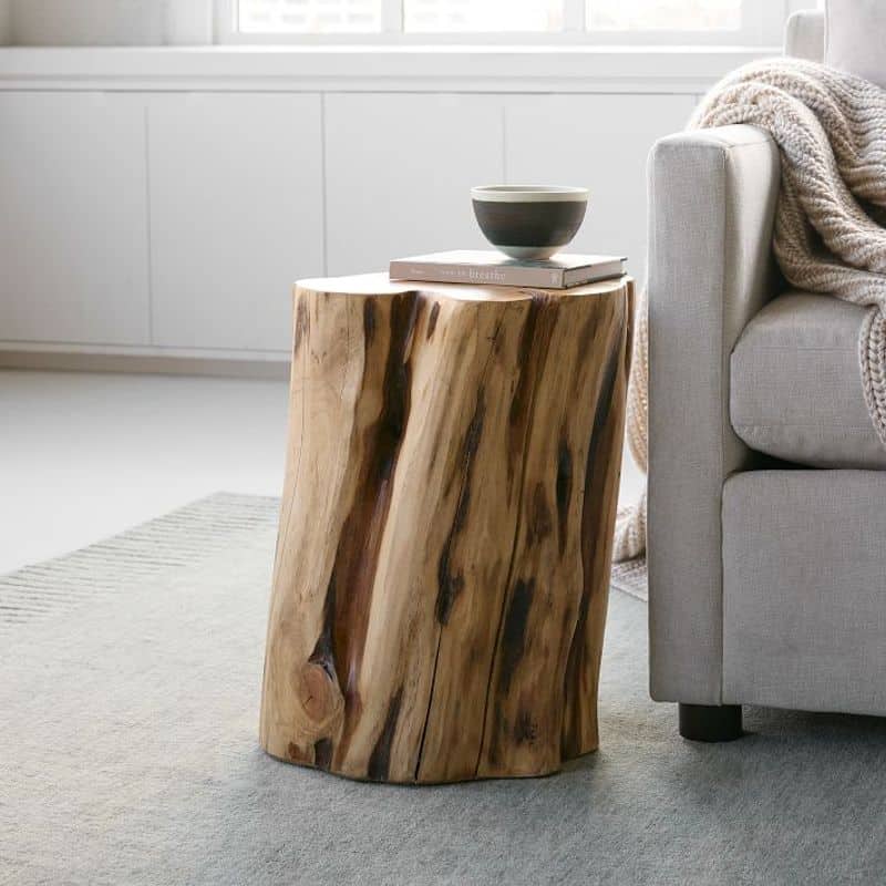 Tree Trunk Side Table