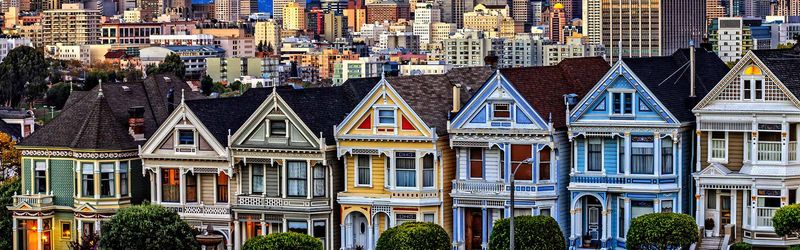 Painted Ladies: A Visual Treat