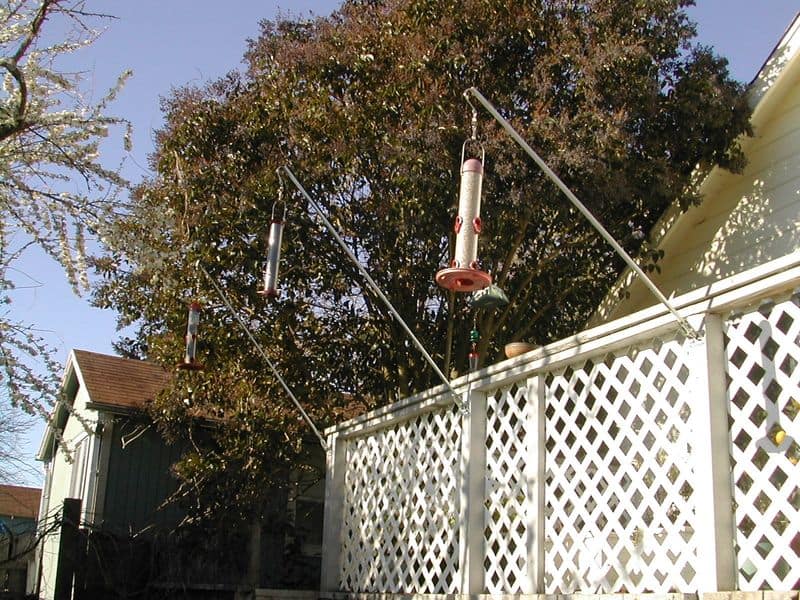 Bird Feeder
