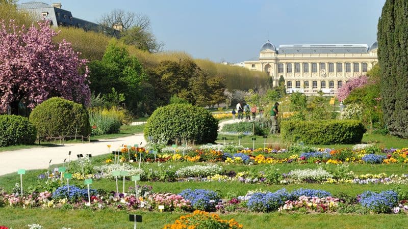 Jardin des Plantes