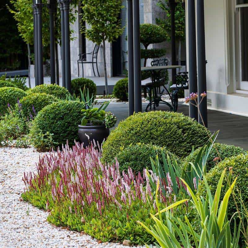 Perennial Ground Covers