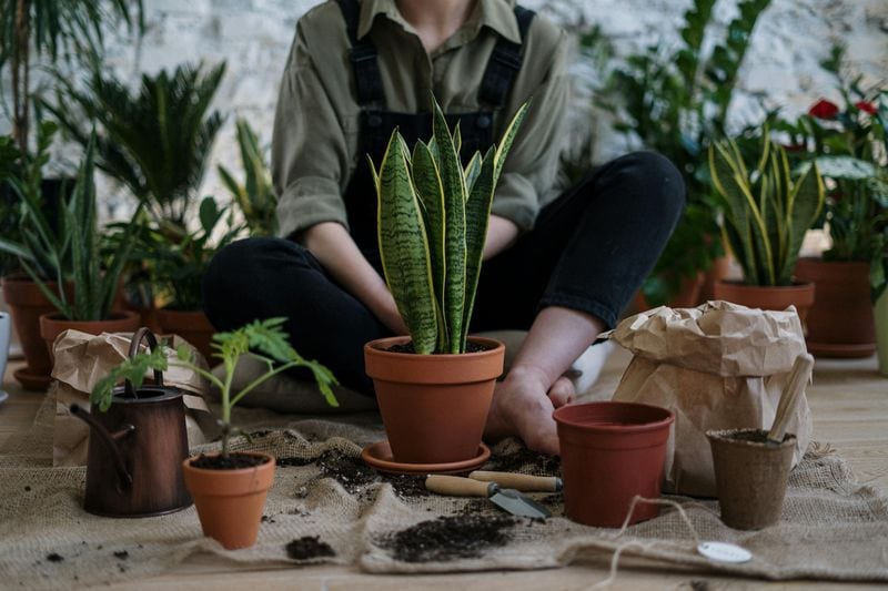 Personal Growth