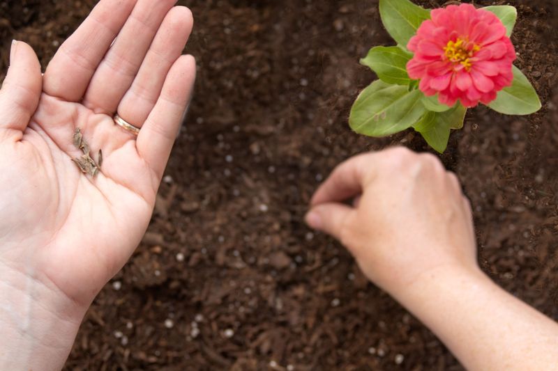 Use Well-Drained Soil
