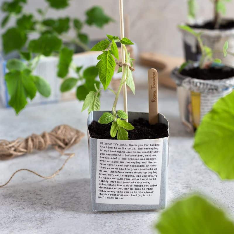 Planting Template