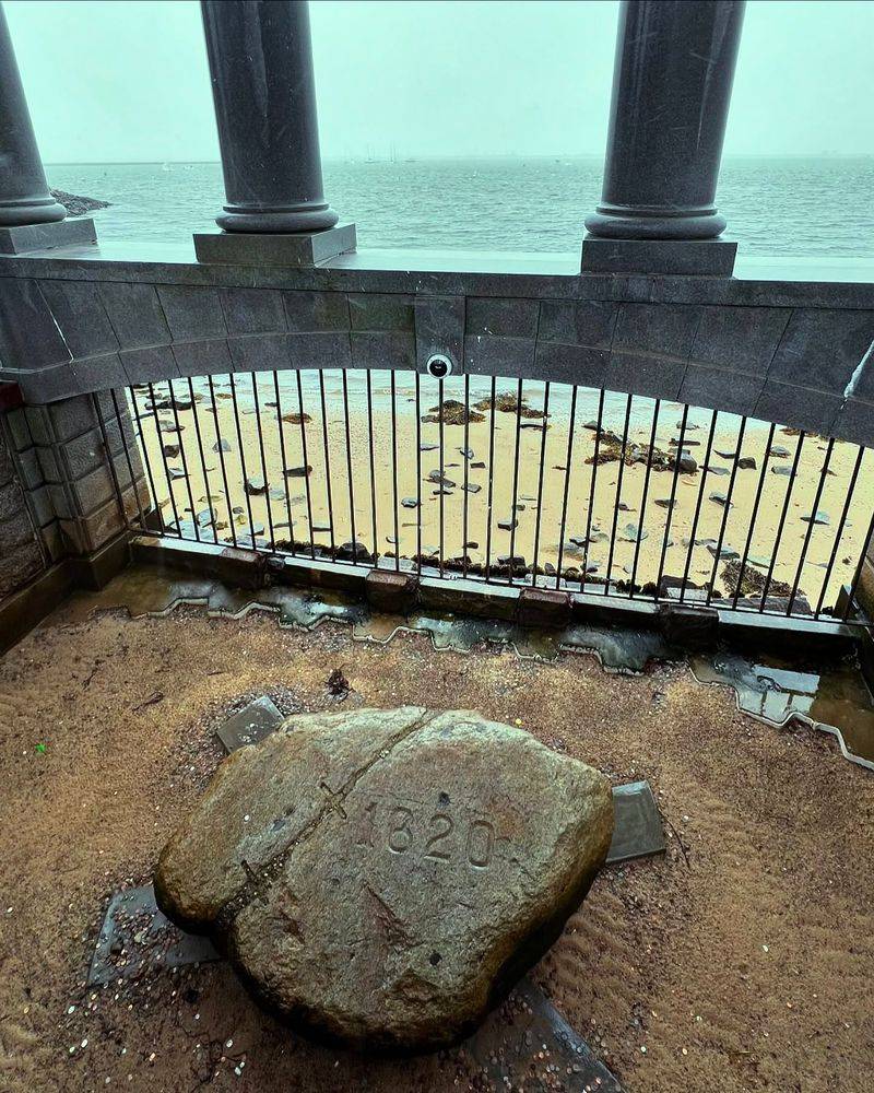 Plymouth Rock