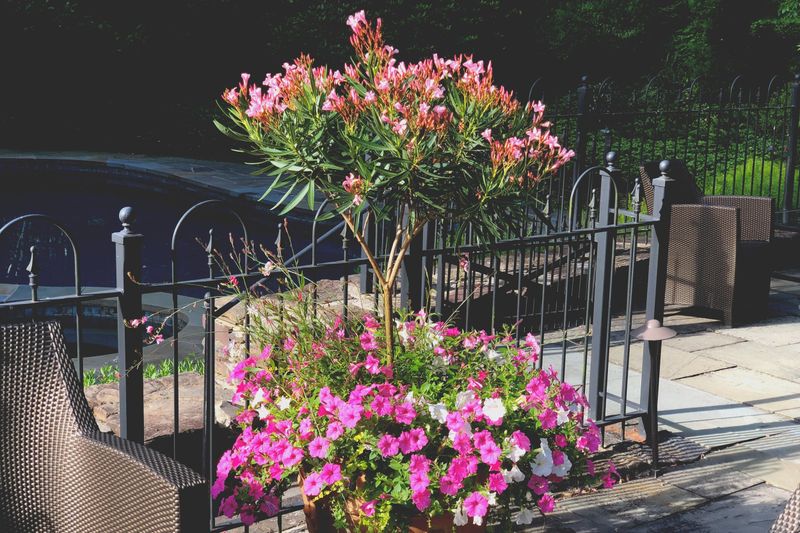 Lack of Seasonal Planning