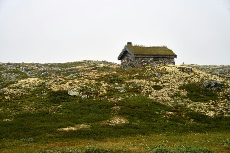 Potential for Social Isolation