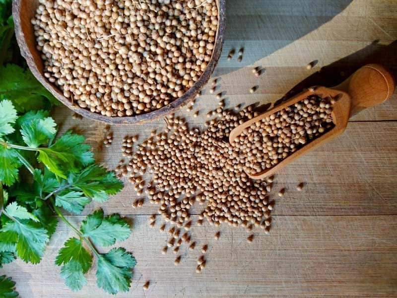 Sow Seeds Indoors