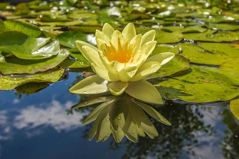 Water Quality Matters