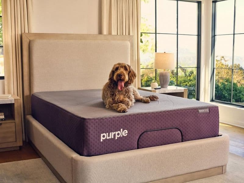 Purple Restore Cool Touch