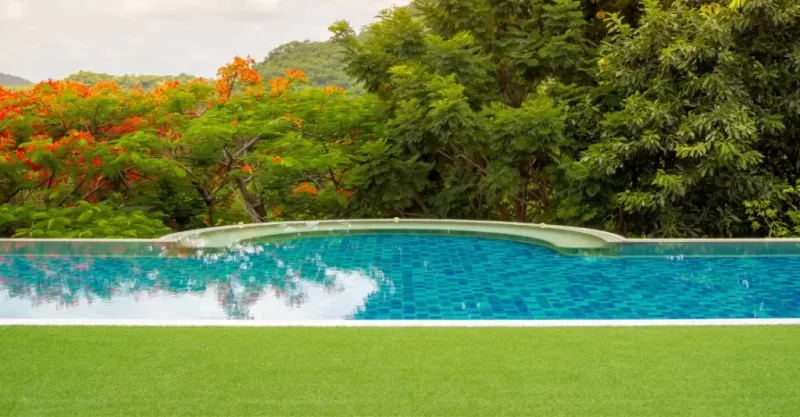 Artificial Turf