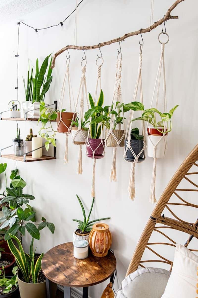 Hanging Macrame Planter