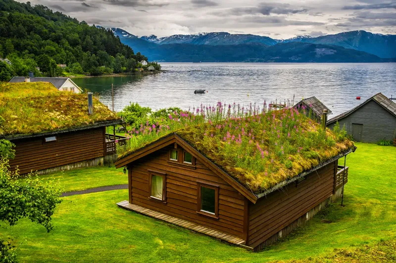 Green Roofs
