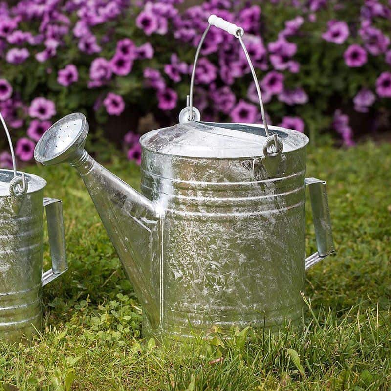 Timeless Watering Can