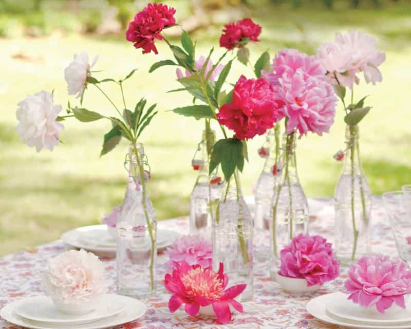 Fragrance Focus