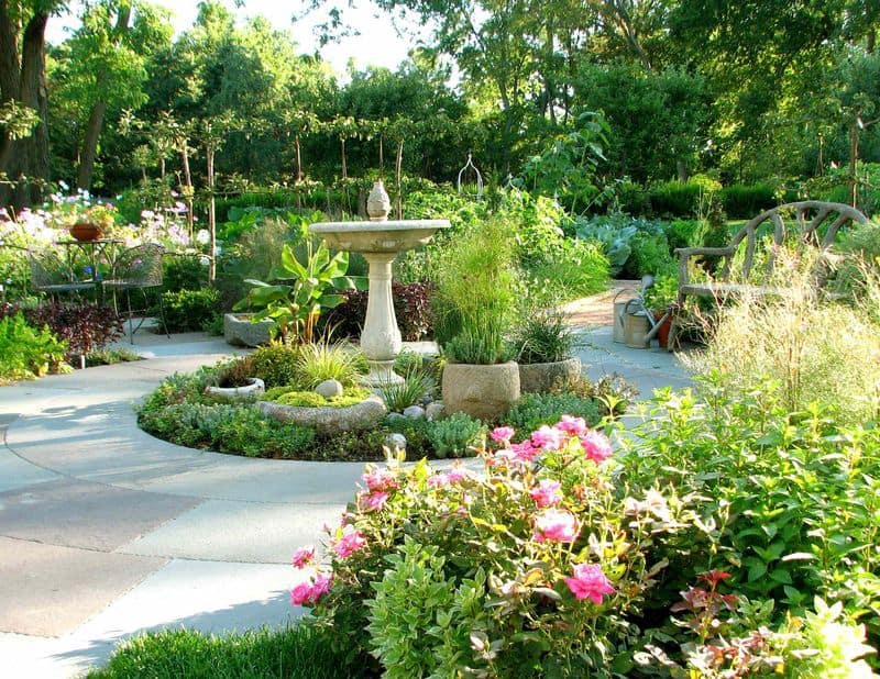 Bird-Friendly Oasis