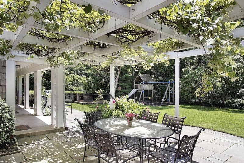 Pergolas with Vines
