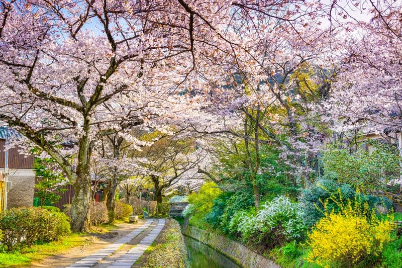 Philosopher's Path
