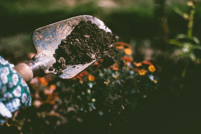 Soil Preparation