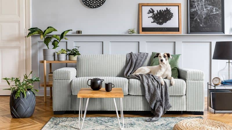 Cluttered Living Spaces