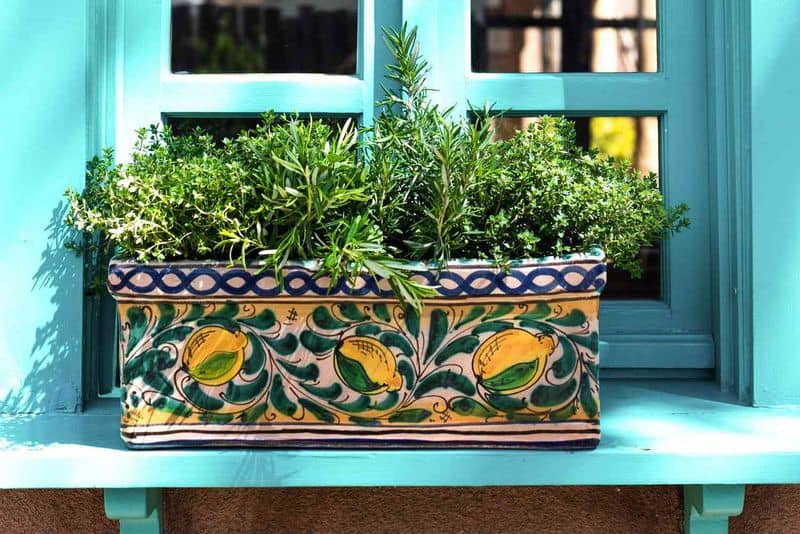 Window Sill Herb Gardens