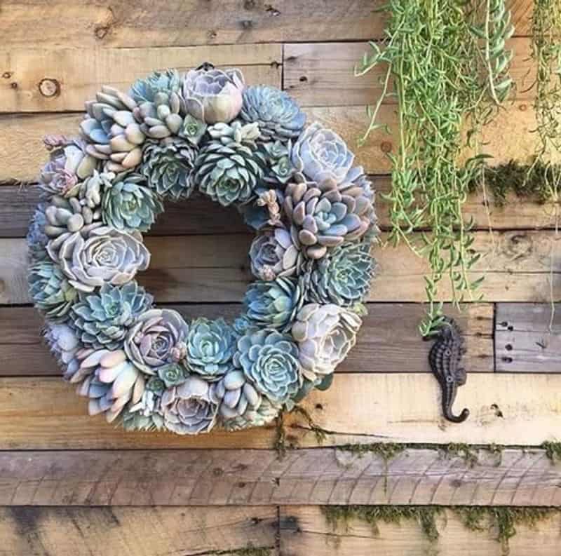 Succulent Wreath
