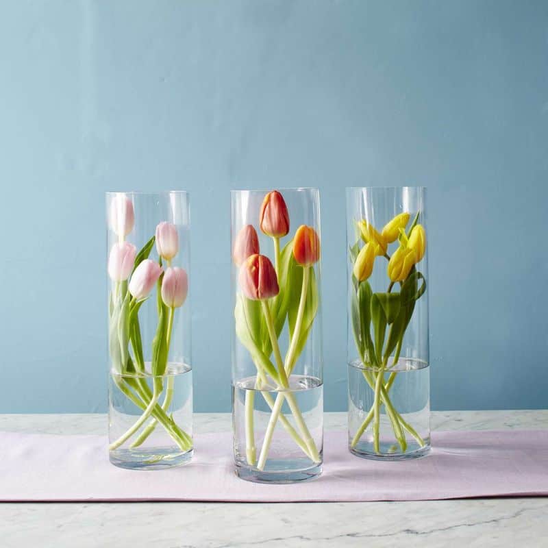Tulip