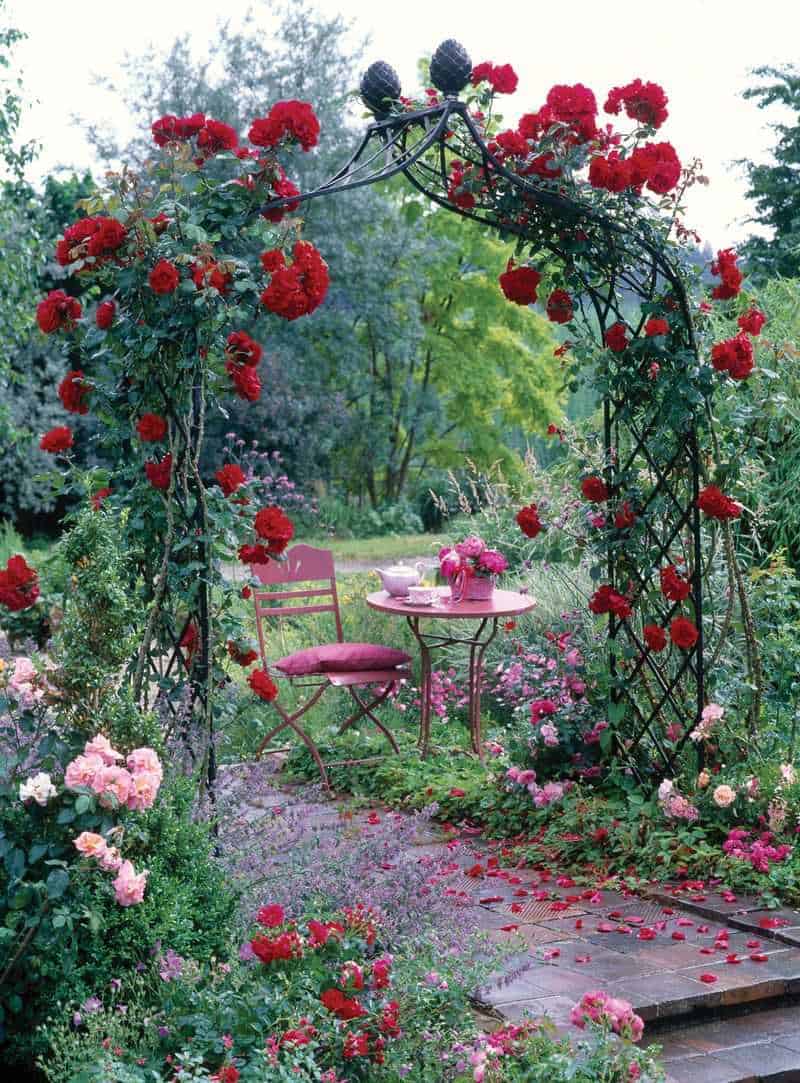Natural Fragrance