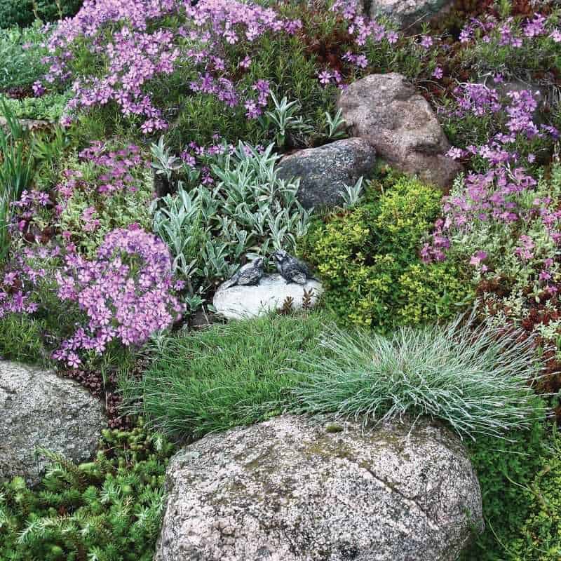 Tapestry Lawn