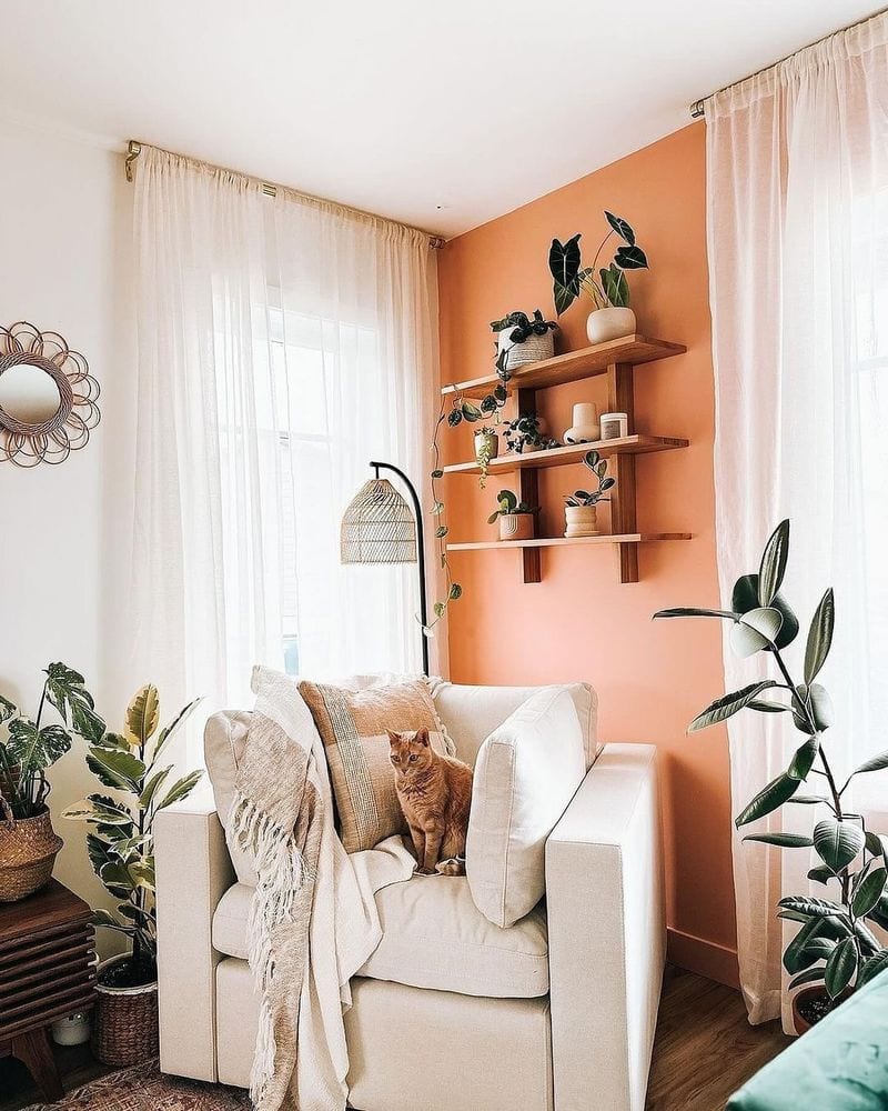Terracotta Accent Wall