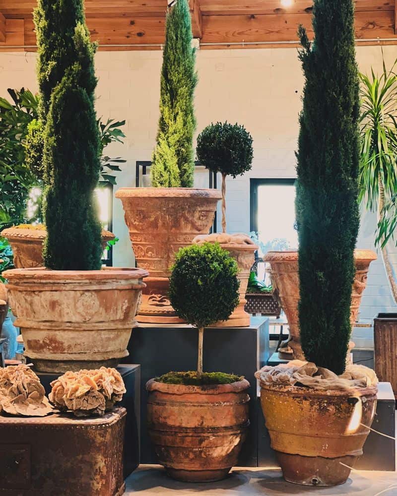 Terracotta Pot Accent