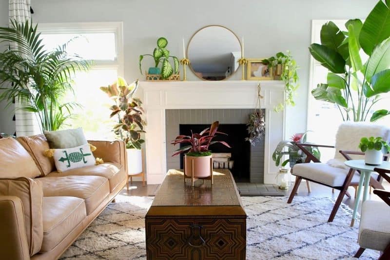 Indoor Trees