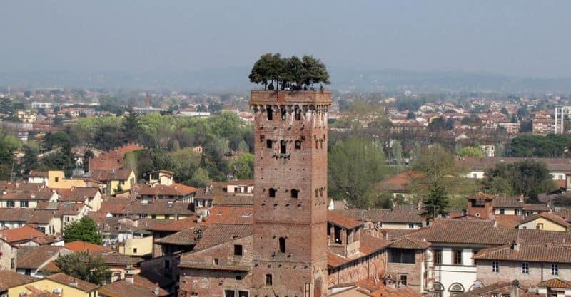 The Torre Guinigi
