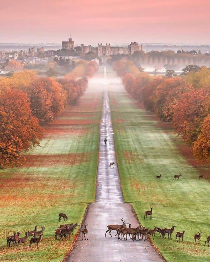 The Long Walk