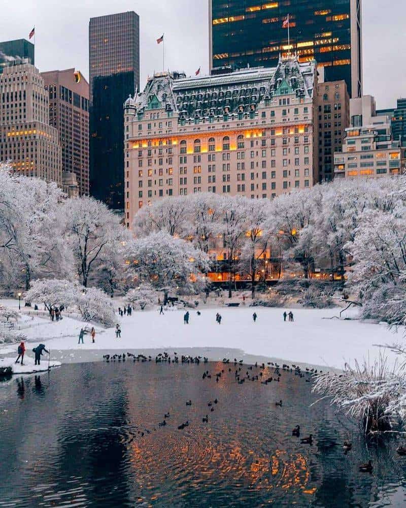 The Plaza Hotel