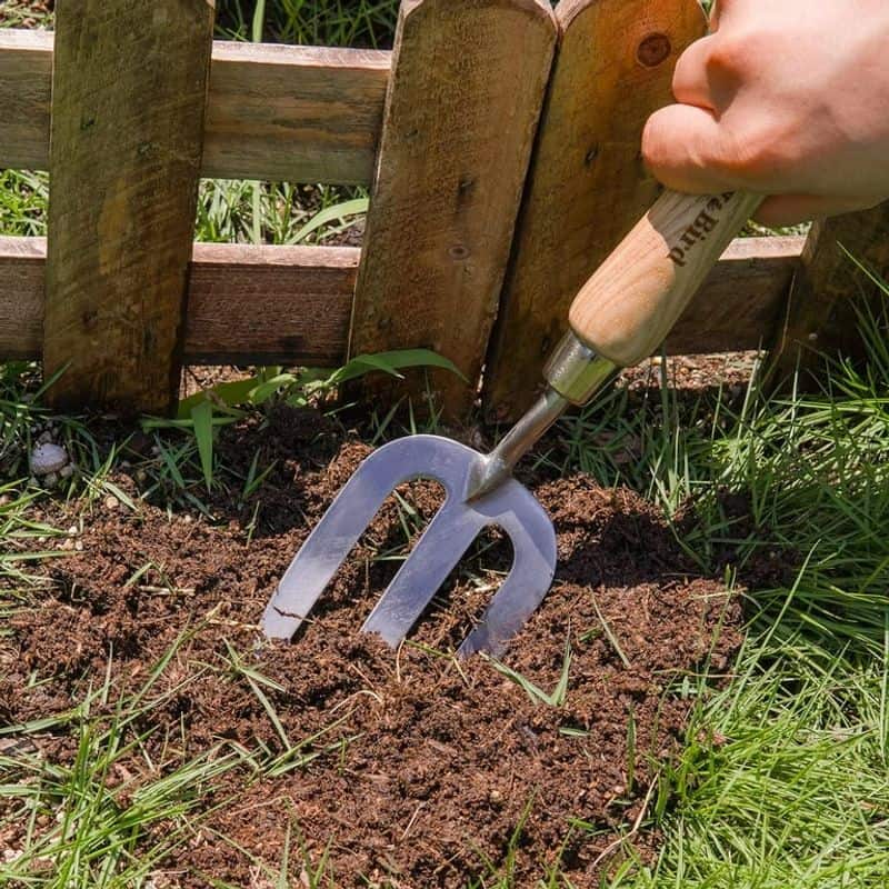 Weathered Garden Fork