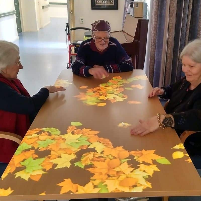 Tovertafel (Magic Table)